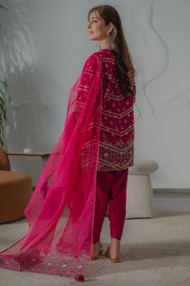 Sidra Niazi feet photo 9