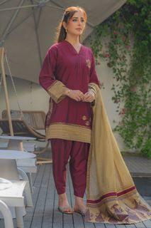 Sidra Niazi feet photo 7