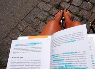Sidse Mickelborg feet photo 3