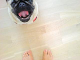 Sidse Mickelborg feet photo 14