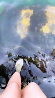 Sidse Mickelborg feet photo 13