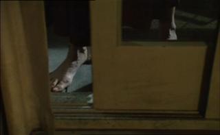 Sigourney Weaver feet photo thumbnail
