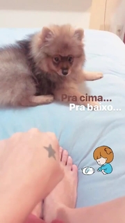 Sil Esteves feet photo 8
