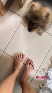 Sil Esteves feet photo 15
