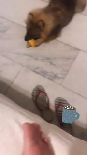 Sil Esteves feet photo 17