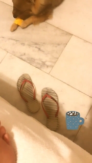 Sil Esteves feet photo 16