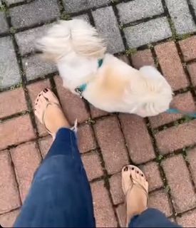 Silvana Ramiro feet photo 13