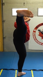 Silvana Shamuon feet photo 8
