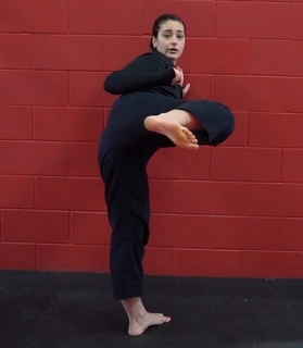 Silvana Shamuon feet photo 10