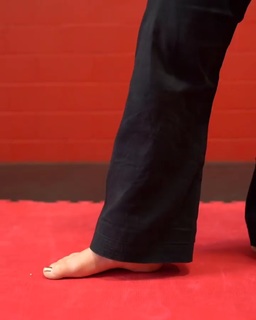 Silvana Shamuon feet photo 5