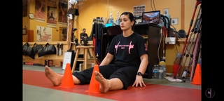 Silvana Shamuon feet photo 14