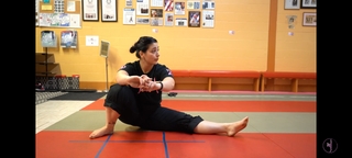 Silvana Shamuon feet photo 11