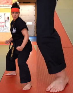 Silvana Shamuon feet photo 6