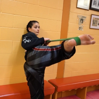 Silvana Shamuon feet photo 13