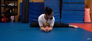 Silvana Shamuon feet photo 7