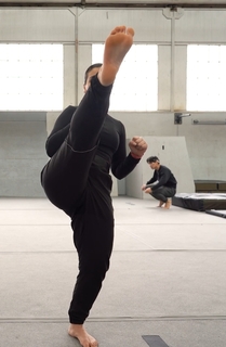 Silvana Shamuon feet photo 6