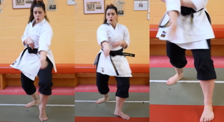 Silvana Shamuon feet photo 9