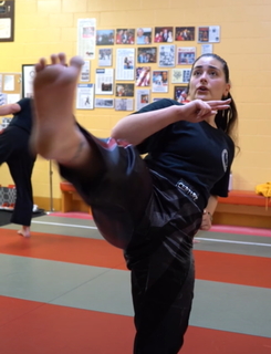 Silvana Shamuon feet photo 19