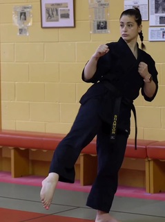 Silvana Shamuon feet photo 4