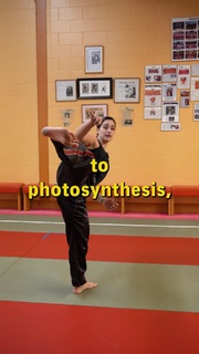 Silvana Shamuon feet photo 3