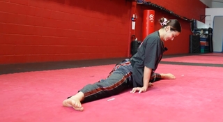 Silvana Shamuon feet photo 18