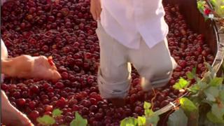 Silvia Navarro feet photo thumbnail