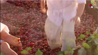 Silvia Navarro feet photo thumbnail