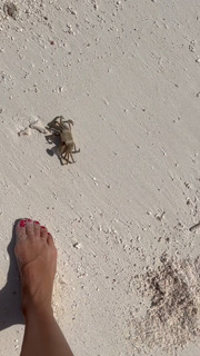 Silvia Zamora feet photo 13