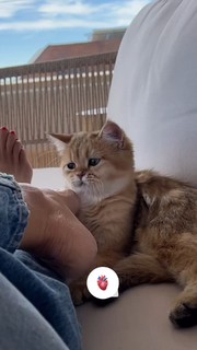 Silvia Zamora feet photo 13