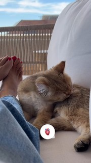 Silvia Zamora feet photo 12