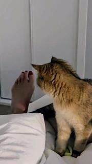 Silvia Zamora feet photo 4