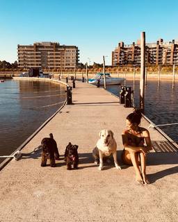 Silvina Escudero feet photo thumbnail