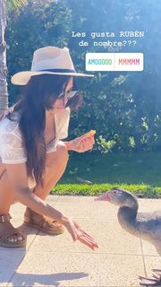 Silvina Escudero feet photo thumbnail