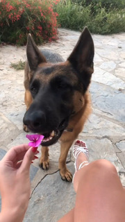 Simay Barlas feet photo thumbnail