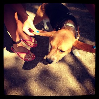 Simge Sagin feet photo thumbnail