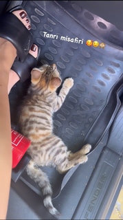 Simge Sagin feet photo thumbnail