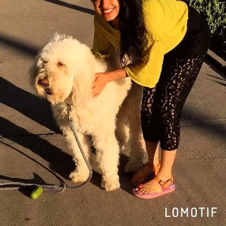 Simi Chahal feet photo 14