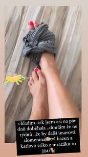 Simona Krainová feet photo 16