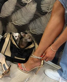 Simona Krainová feet photo 1