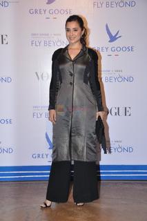 Simone Singh feet photo 12