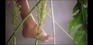 Simran feet photo 3