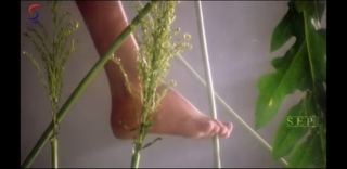 Simran feet photo 2