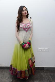 Simran Mundi feet photo 13