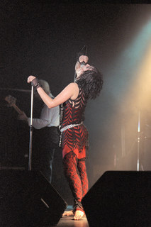 Siouxsie Sioux feet photo 14