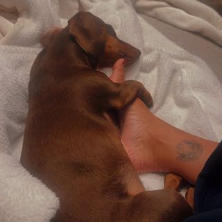 Skye Nicolson feet photo 6