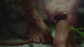 Skylar Grey feet photo thumbnail