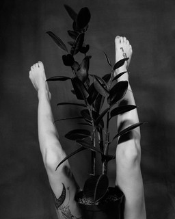 Skylar Grey feet photo thumbnail