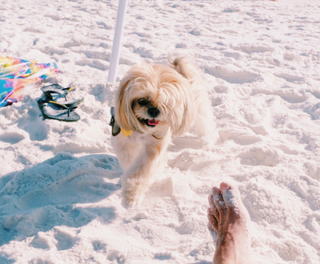 Skyler Samuels feet photo thumbnail