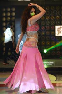Sneha Ullal feet photo 4