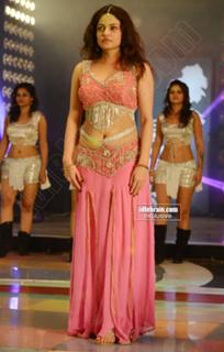Sneha Ullal feet photo 2
